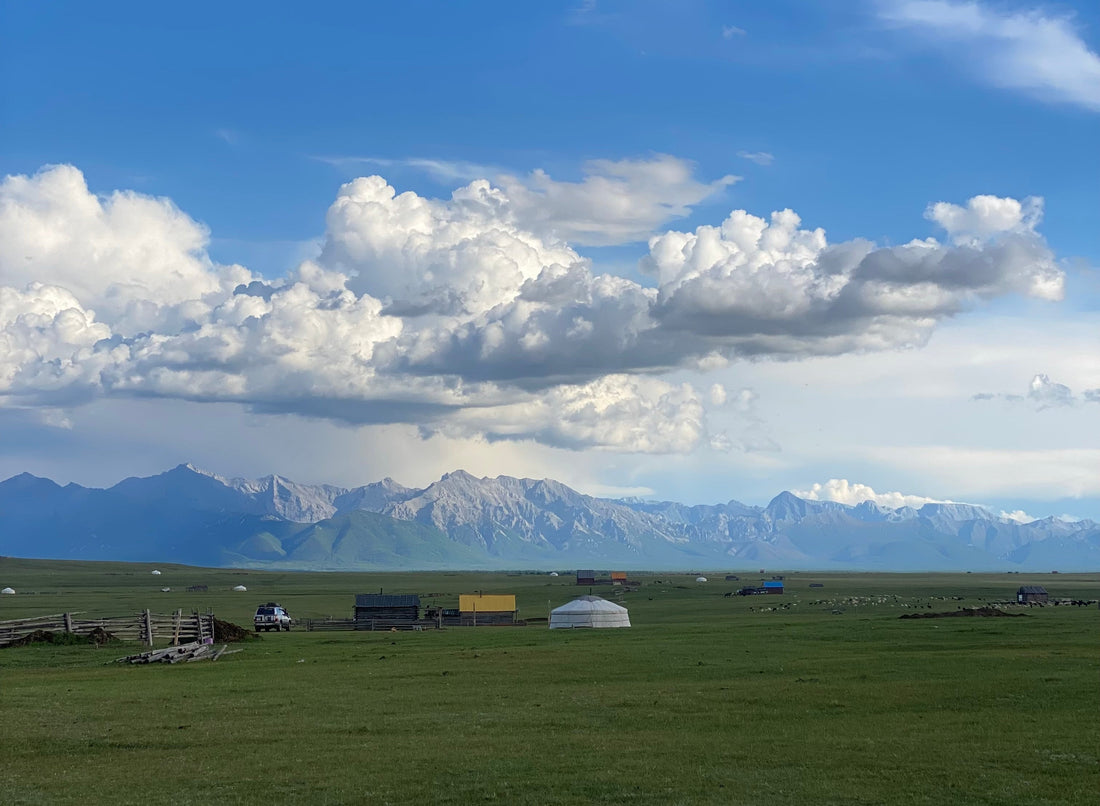 Yak Wool: Why It's the Softest and Most Sustainable Natural Fiber