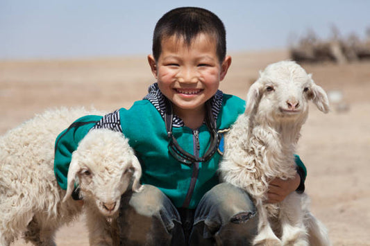 70%, 90%, 100% Wool: What Difference Does It Make in Use?