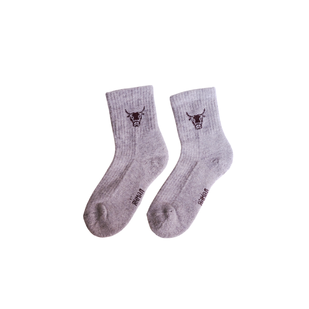 Pair of gray socks with a logo on a white background
