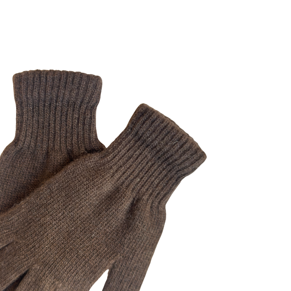 Pair of brown gloves on a white background
