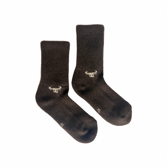 Pair of dark brown socks with a logo on a white background